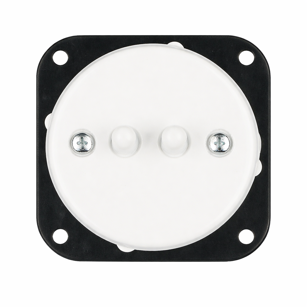 Interruptor palanca doble