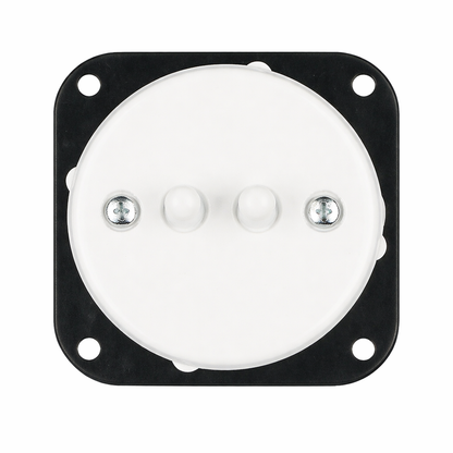 Interruptor palanca doble