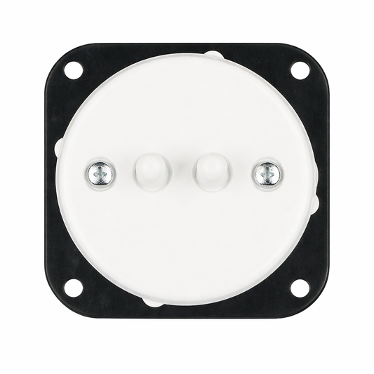 Interruptor palanca doble