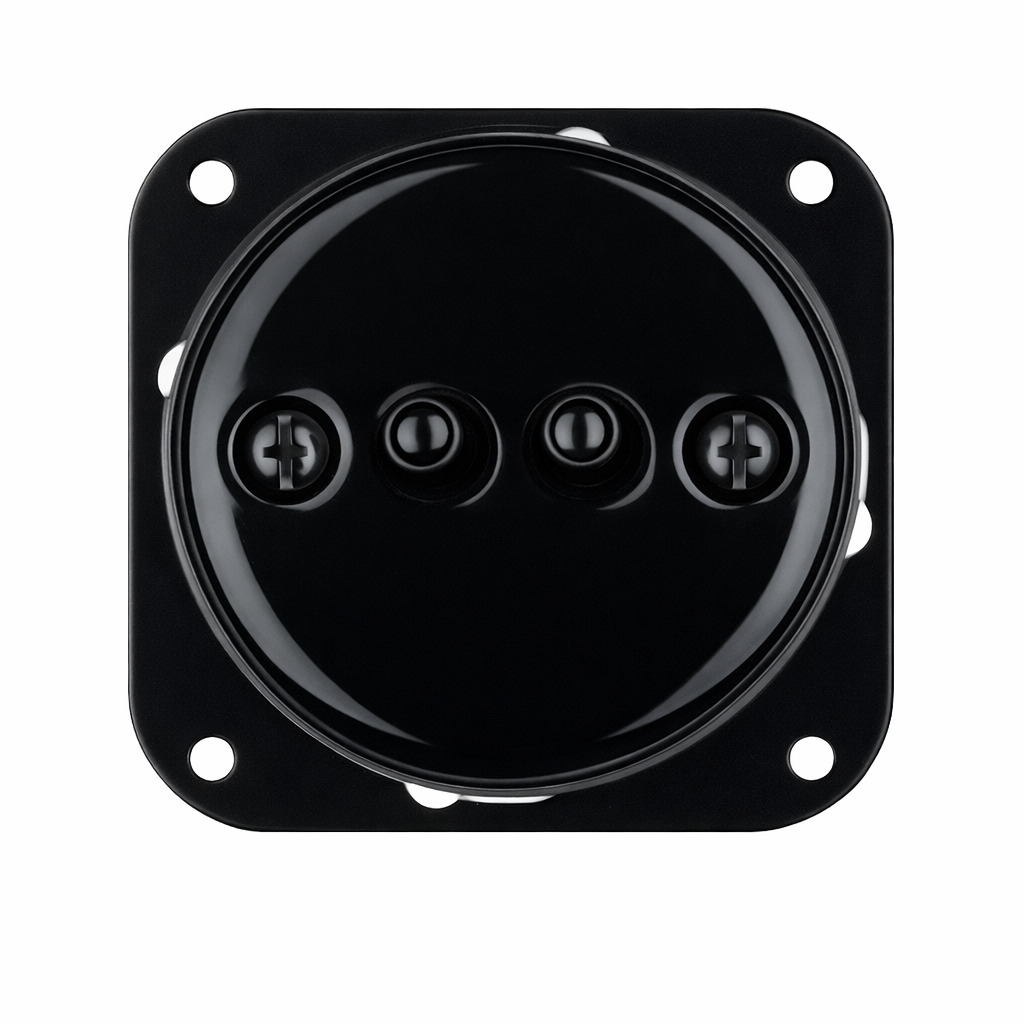 Interruptor palanca doble