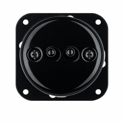 Interruptor palanca doble